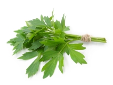  Lovage listy