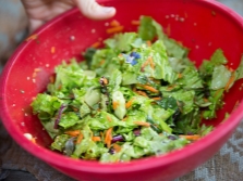  Pipino Salad