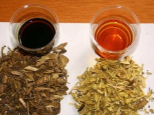  Barberry root decoction