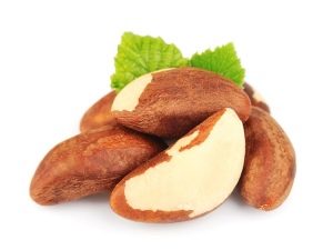  Brazil nut