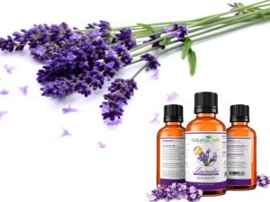  Lavender essential oil