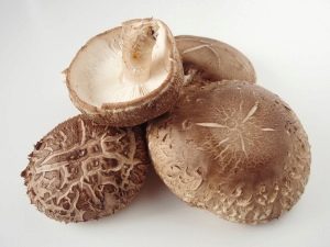  Shiitake mushrooms