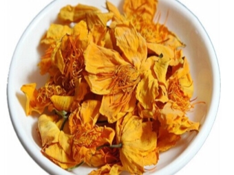  Nasturtium Flower Tea
