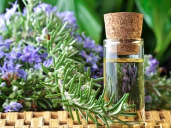  Rosemary essential oil