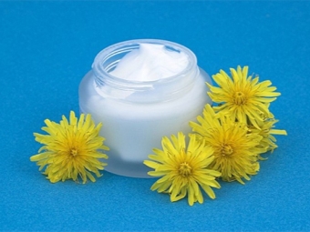  Dandelion Flower Cream