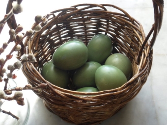  Spinach Colored Eggs