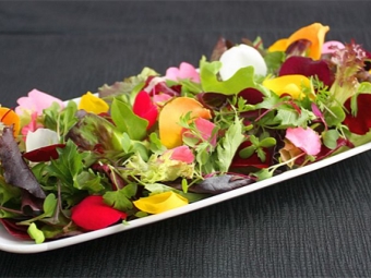  Rozā ziedlapiņu salāti