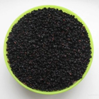  Black elderberry berries