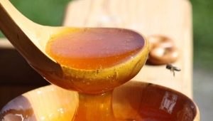  Méz üres gyomorban: az előnyök, a kár és a használat finomságai