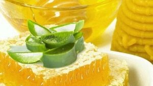  Aloe mézzel: főzés, gyógyító tulajdonságok és ellenjavallatok