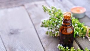  Thyme Essential Oil: Properties and Applications
