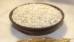  Barley grits: kung ano ang cereal ay ginawa at kung paano magluto?