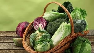  Tenyésztett zöldségek listája