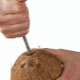  Jak otevřít kokos