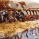  Honeydew Honey: produkta īpašības un īpašības