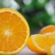  Ko gatavot no apelsīniem?