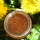  Mga katangian ng likas na honey mula sa pollen