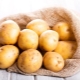  Kartupeļi: raksturojums, šķirnes un lietošanas veidi
