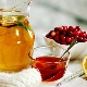  Léčba medu: výhody a poškození účinných receptů