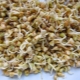  Sprouted buckwheat groats: benepisyo, pinsala at subtleties ng paggamit