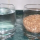  Graudaugu un ūdens attiecība: kādas proporcijas jāievēro, gatavojot dažādas labības?
