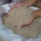  Barley groats: mga uri, mga katangian at mga tuntunin ng paghahanda