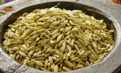  Semena fenyklu se používají k léčebným účelům.