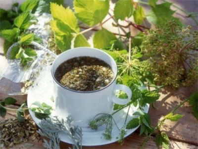  Tea with dengine, hops at melissa