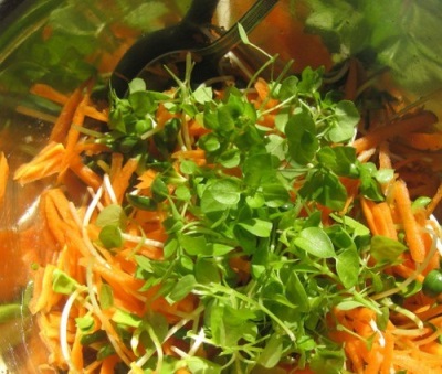  Salad na may karot at isdang-bituin