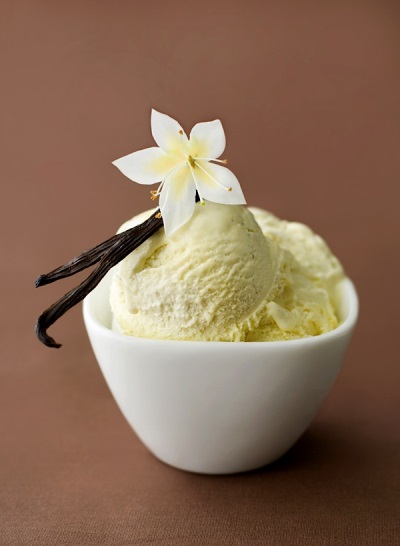  Homemade vanilla ice cream