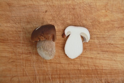  Bílá houba v řezu