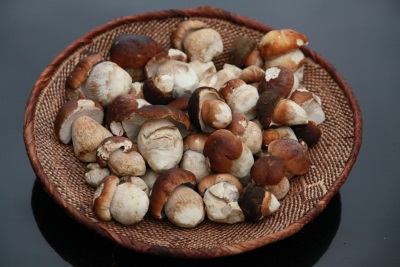  White mushrooms - marami