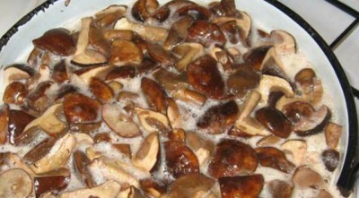  Vařte bílé houby