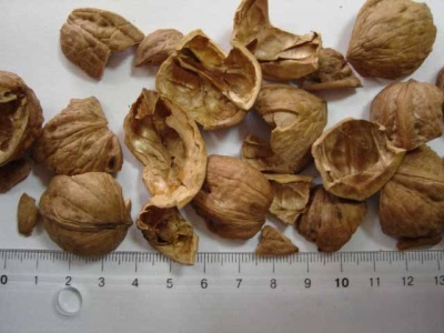  Ořechová skořápka je indikována a používána u některých nemocí.