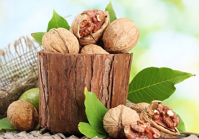  Nakapagpapagaling na mga recipe na may mga walnuts