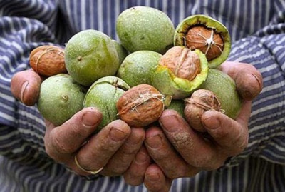  Ang mga walnuts ay ganap na pinagsama sa maraming mga produkto lalo na sa honey.