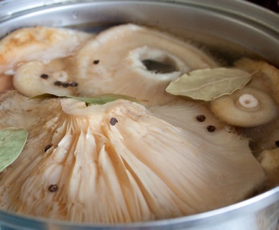  Marinating mushroom ng halamang-singaw