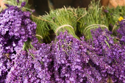  Kapinsalaan at contraindications para sa lavender
