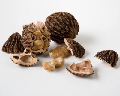  Černý ořech se skládá z mnoha stopových prvků nezbytných pro tělo.