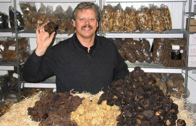  Mga rekomendasyon sa pagpili at pagbili ng mga mushroom ng truffle