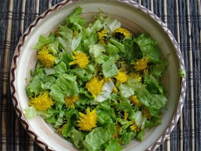  Coltsfoot salad