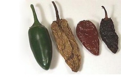  Jalapeno Dried and Smoked Peppers